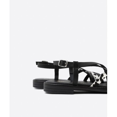 Patricia Miller Bariloche negro 6785ne