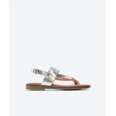 Patricia Miller Catral plata 6337pl|Patricia Miller Catral plata 6337pl|Patricia Miller Catral plata 6337pl|Patricia Miller Catr